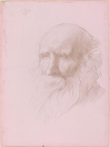 Head of an Old Man, 1897. Creator: Alphonse Legros.