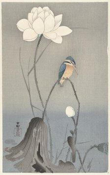 Kingfisher with Lotus Flower. Creator: Ohara, Koson (1877-1945).