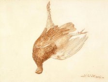 Dead Grouse, 1815-1820. Creator: JMW Turner.