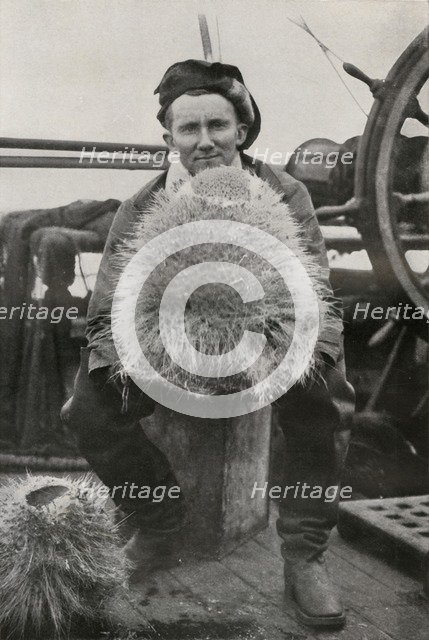 'D. G. Lillie, with Some of the Siliceous Sponges', c1911, (1913). Artist: Herbert Ponting.