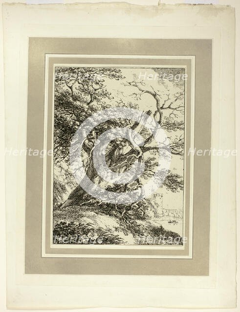 Old Tree, from the first issue of Specimens of Polyautography, 1801, published 1803. Creator: Thomas Hearne.