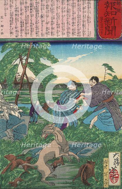 Raccoon Dog Protects Its Cubs from Attack by a Dog, c1875. Creator: Tsukioka Yoshitoshi.