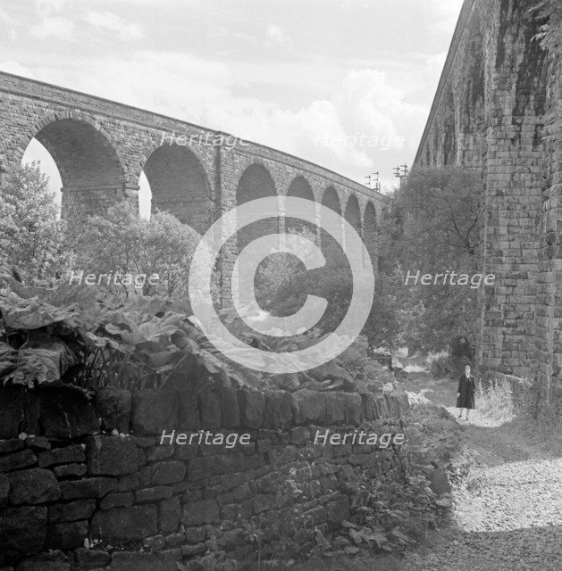 Railway viaducts, Chapel Milton, Chapel-en-le-Frith, Derbyshire, 1954. Artist: Eric de Maré.