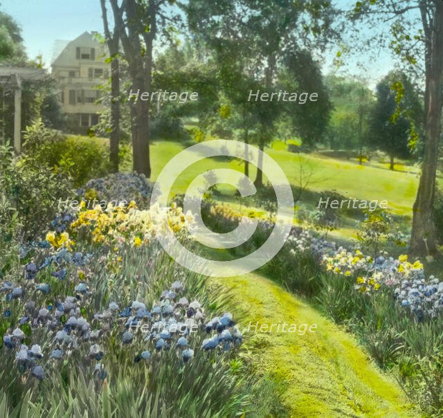 "Beechgate," Robert Carmer Hill house, Woodland Avenue, Englewood, New Jersey, 1918. Creator: Frances Benjamin Johnston.