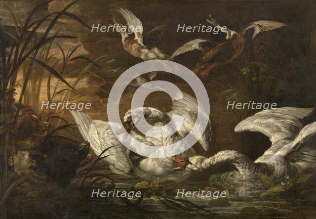 Swans and Dogs, c1640-1670. Creator: Nicasius Bernaerts.