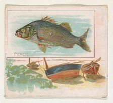 Perch, from Fish from American Waters series (N39) for Allen & Ginter Cigarettes, 1889. Creator: Allen & Ginter.