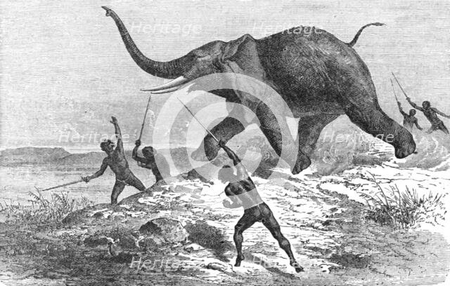 'Collecting Ivory; Life in a South African Colony', 1875. Creator: Unknown.