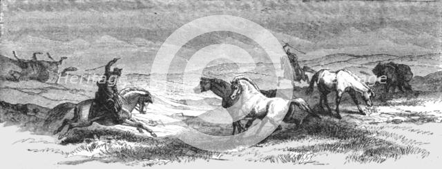 'Driving Ponies; An Icelanders Notes on Iceland', 1875. Creator: Unknown.