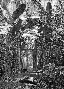 Sketches of Annam, Cochin China: village pathway, 1883. Creator: Kemp.