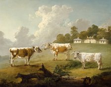 'Three Long-horned Cattle at Kenwood', 1797. Artist: Julius Caesar Ibbetson.