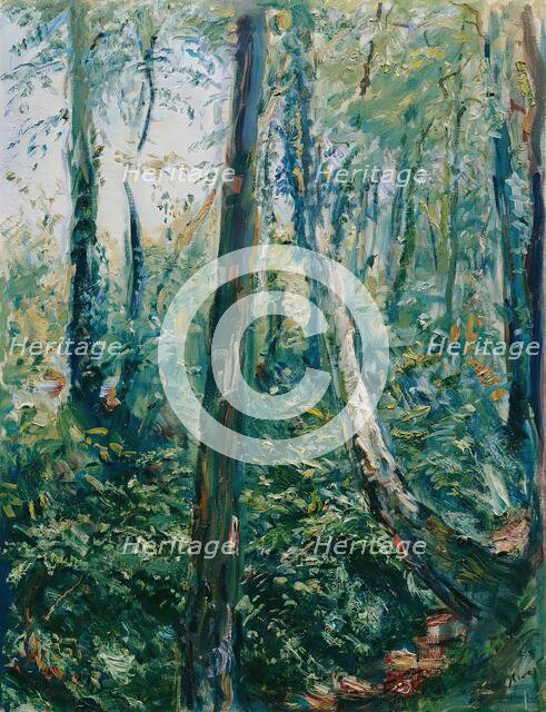 Forest Way, End of the 19th - beginning of the 20th century. Creator: Max Slevogt.