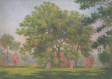 Landscape with trees, early 20th century. Creator: Dezider Czölder.