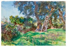 Olive Trees, Corfu, 1909. Creator: John Singer Sargent.