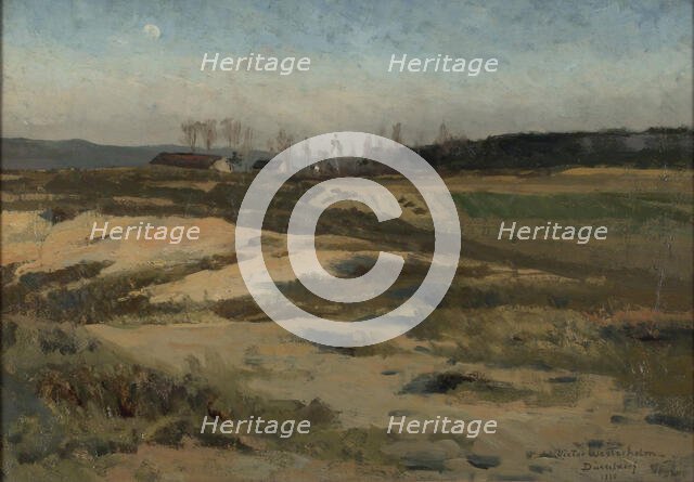 Moor, 1880. Creator: Victor Westerholm.