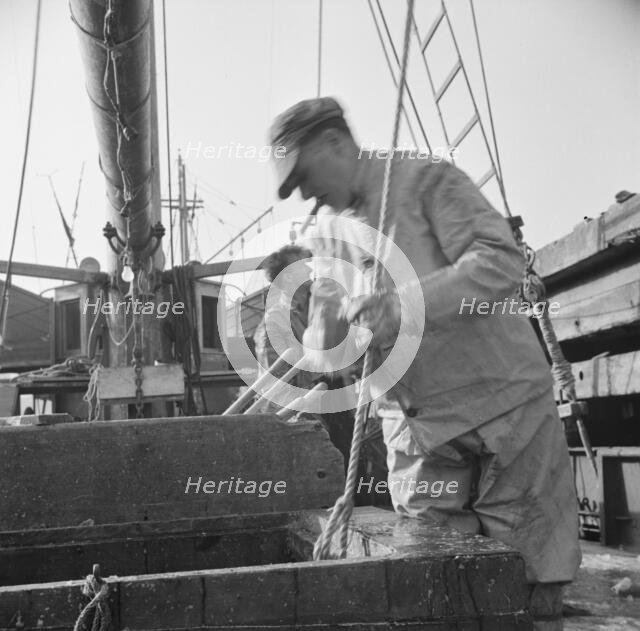 Dock stevedores at the Fulton fish market sending up baskets of fish..., New York, 1943. Creator: Gordon Parks.