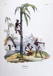 'Chanar', 1828. Artist: Jean Henri Marlet