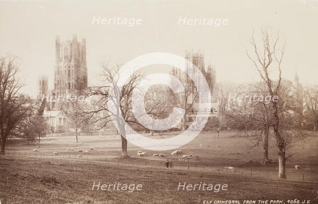 Ely Cathedral from the Park, between 1870 and 1880. Creator: James Valentine.