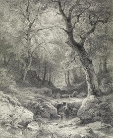 Forest Scene, second half 19th century. Creator: Paul Weber.