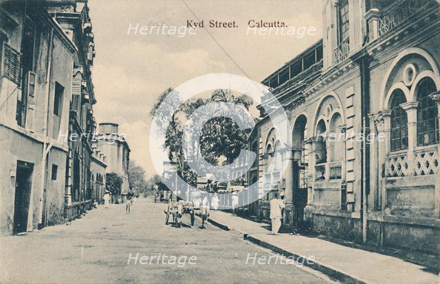 'Kyd Street. Calcutta', late 19th-early 20th century.  Creator: Unknown.