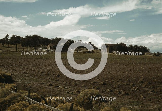 Field of beans and farmstead of Bill Stagg, homesteader, Pie Town, New Mexico, 1940. Creator: Russell Lee.