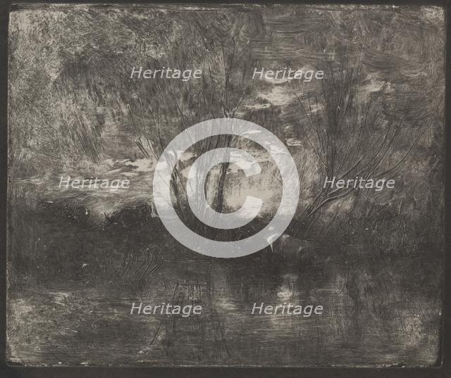 Cows at a Watering Place, original impression 1862, printed in 1921. Creator: Charles François Daubigny (French, 1817-1878).