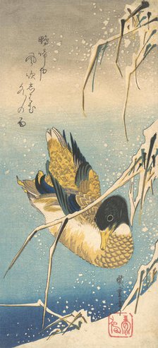 Mallard Duck and Snow-covered Reeds , ca. 1832., ca. 1832. Creator: Ando Hiroshige.