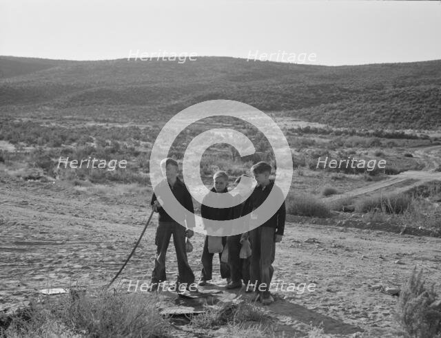 Boys wait for school bus in the morning, Malheur County, Oregon, 1939. Creator: Dorothea Lange.