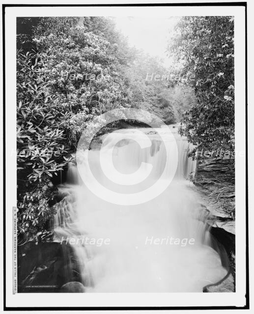 Falls of the narrows, Sapphire, N.C., c1902. Creator: William H. Jackson.