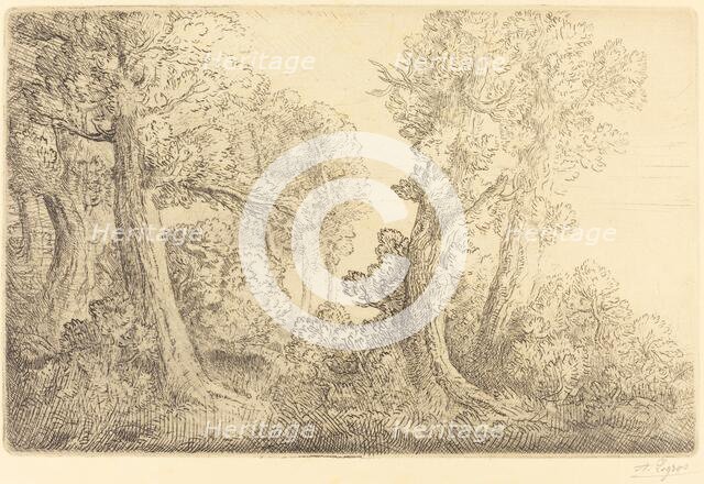 Near the Woods, Veronne (Pres du bois, Veronne). Creator: Alphonse Legros.