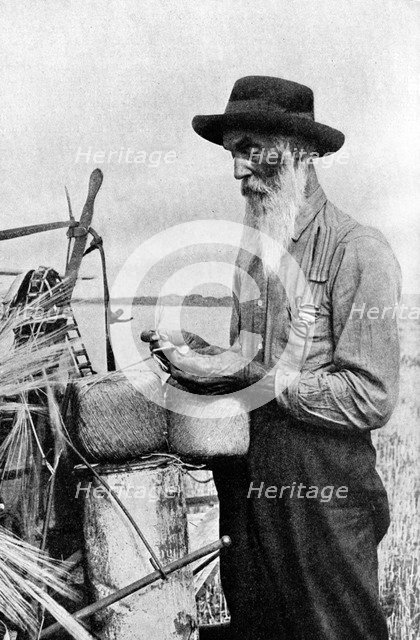 Harvest time in the Red River district, Alberta, Canada, 1922. Artist: Unknown