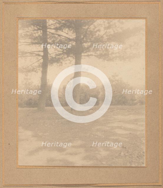 Landscape with trees, c. 1900. Creator: Joseph Turner Keiley.