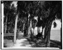 The walk at Rockledge, Indian River, between 1880 and 1897. Creator: William H. Jackson.