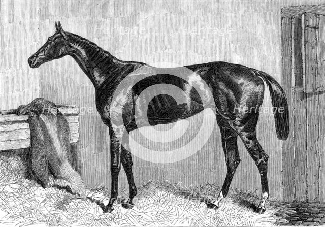 Ascot Races: Scottish Chief, winner of the Ascot Cup, 1864. Creator: Unknown.