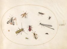 Plate 64: Eleven Insects, Including a Dragonfly and Longhorn Beetle, c. 1575/1580. Creator: Joris Hoefnagel.