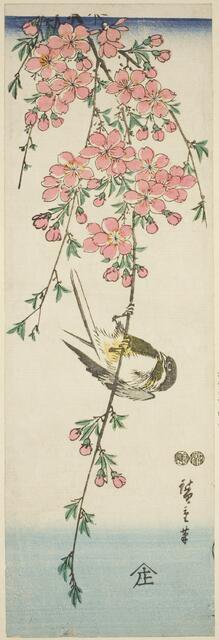 Great tit and cherry blossoms, c. 1847/52. Creator: Ando Hiroshige.