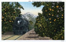 'Traveling through the Orange Groves in California', USA, 1924. Artist: Unknown