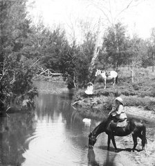 Ladies giving their horses a drink, c1900s. Creator: Robert Augustus Henry L'Estrange.