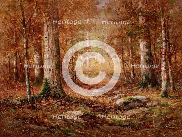 Woodland, Northern Michigan, 1902. Creator: John Elwood Bundy.