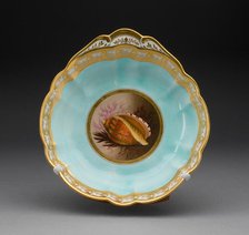 Plate, Worcester, 1813/19. Creator: Royal Worcester.