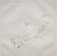 Parisian Service (Haviland service): Right in the sun (no. 9), 1875. Creator: Félix Bracquemond (French, 1833-1914).