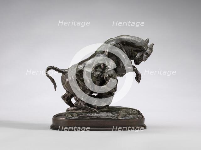 Rearing Bull with Tiger, model 1841/1844, cast by 1873. Creator: Antoine-Louis Barye.