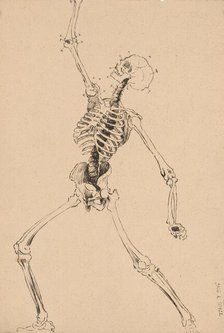 Study of a human skeleton, 1880-1904. Creator: Janos Fadrusz.