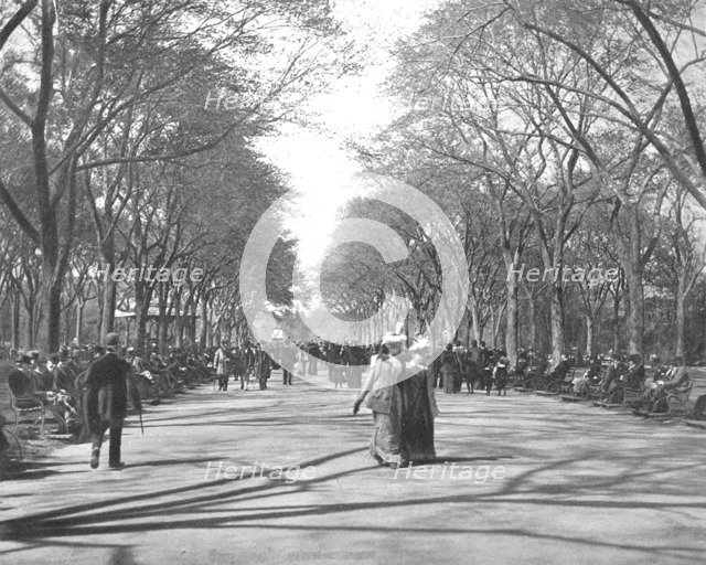 The Mall, Central Park, New York, USA, c1900.  Creator: Unknown.