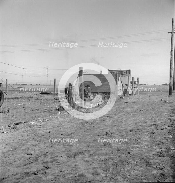 Living conditions for migratory laborers in private auto camp, Calipatria, Imperial County, 1939. Creator: Dorothea Lange.