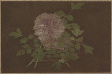 Peonies, 15th century. Creator: Unknown.