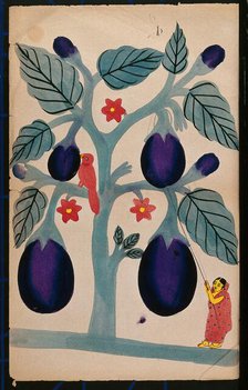 A woman pulling giant aubergines from a tree. Creator: Unknown.