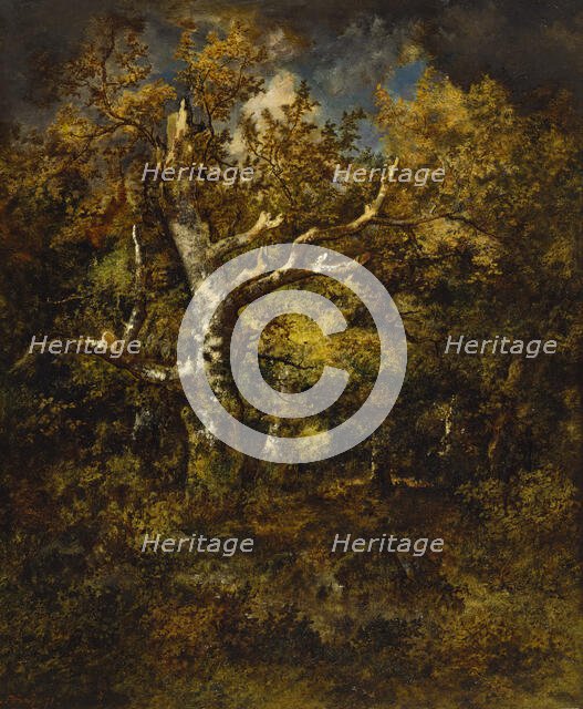 Forest of Fontainebleau, Autumn, 1871. Creator: Narcisse Virgile Diaz de la Pena.