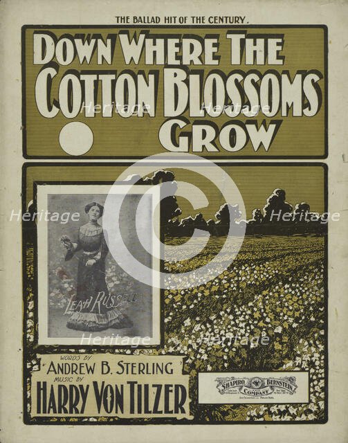 'Down where the cotton blossoms grow', 1901. Creator: Unknown.