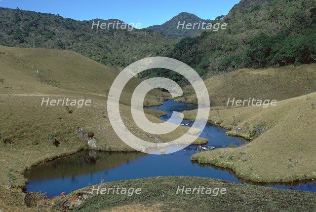 Horton plains grassland and forest. Artist: CM Dixon Artist: Unknown