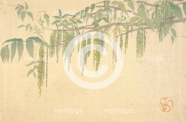 Wisteria, about 1908. Creator: Wilhelmina Seegmiller.